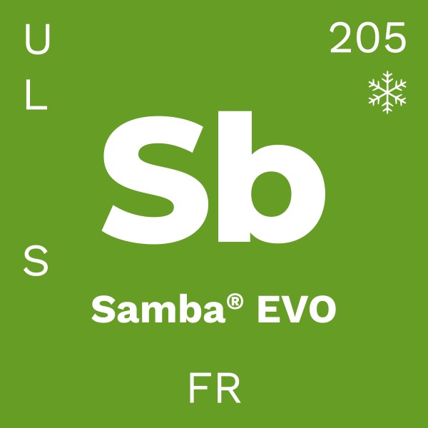 be.tex® Samba Evolution
